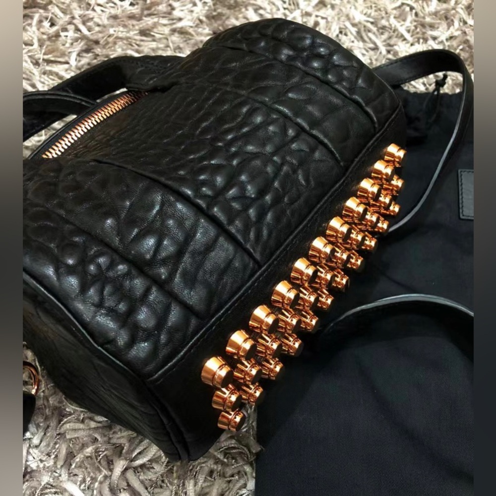 Alexander Wang Bag